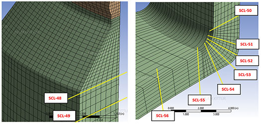 FIG. 9. SCLs in finite element model at top head, local.