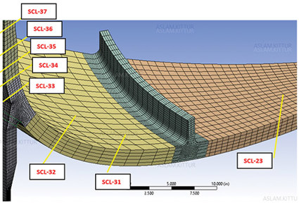 FIG. 7. SCLs in finite element model at bottom head, general.